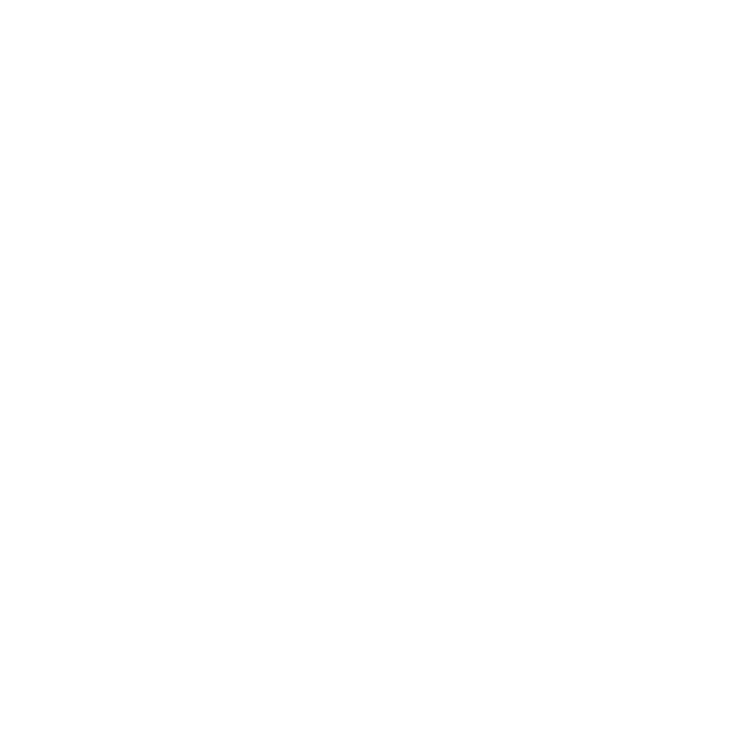 feature-item-1
