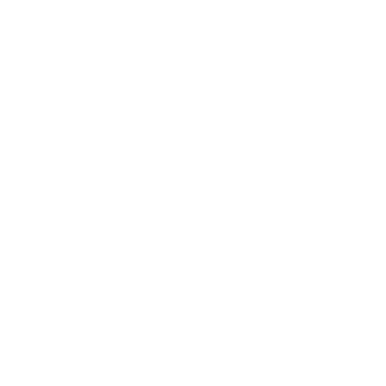feature-item-2