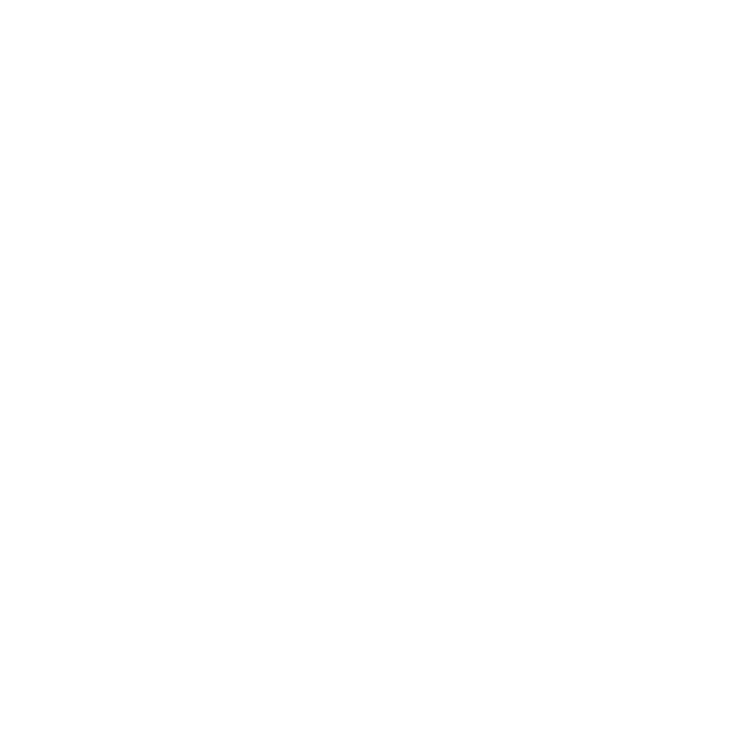 feature-item-4
